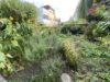 Kleines Familienglück: Top-gepflegter Bungalow mit perfektem Garten und Aufstockungspotenzial - Gartenansicht 2
