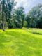 Ehemaliges "Kloster" auf 3.000 m²! - Grundstück Ausschnitt