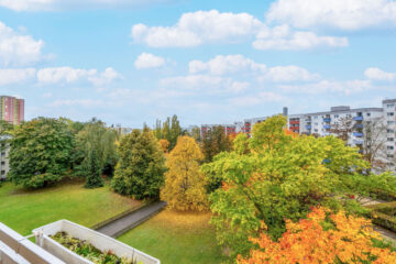Frisch renoviert bezugsfrei – DG-Wohnung Aufzug, 12279 Berlin, Dachgeschosswohnung